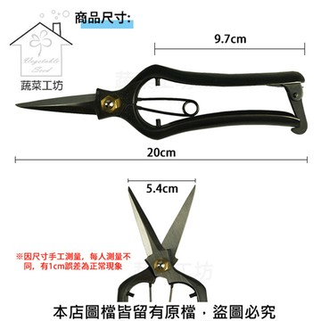 蔬菜工坊 隆光芽切剪195mm(刃長摘花鋏 付 金止)(日本進口)