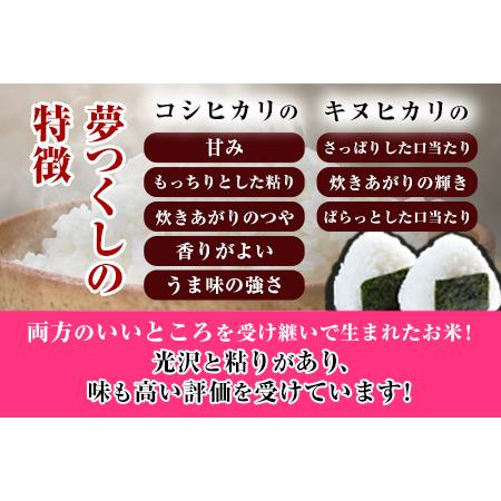 ふるさと納税 令和4年産 福岡県産 夢つくし 無洗米 15kg 5kg×3袋 株式会社オカベイ《30日以内に順次出荷(土日祝除く)》米 コメ ゆめつくし .. 福岡県鞍手町