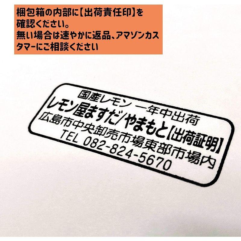 レモン屋ますだ国産 (広島県産)レモン 防腐剤・防かび剤不使用 ノーワックス （広島市中央卸売場出荷） (5kg)