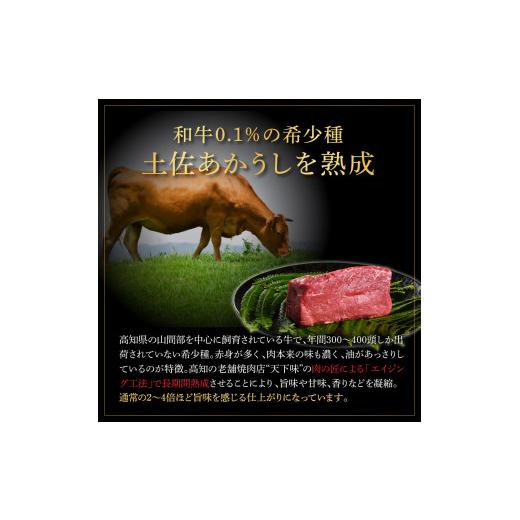 ふるさと納税 高知県 芸西村 エイジング工法熟成肉土佐あかうし特選ヒレサイコロステーキ500g（冷凍）