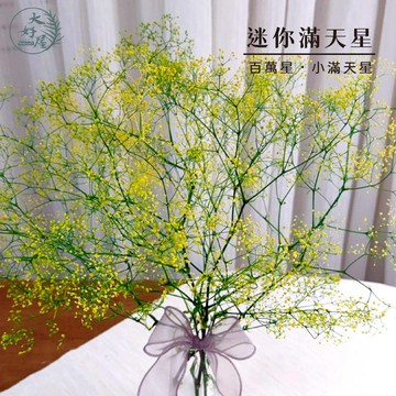 大好屋 台灣現貨 迷你滿天星 百萬星 永生花 乾燥花 批發零售 乾燥花DIY材料 花藝配花 室內裝飾 捧花 微景觀