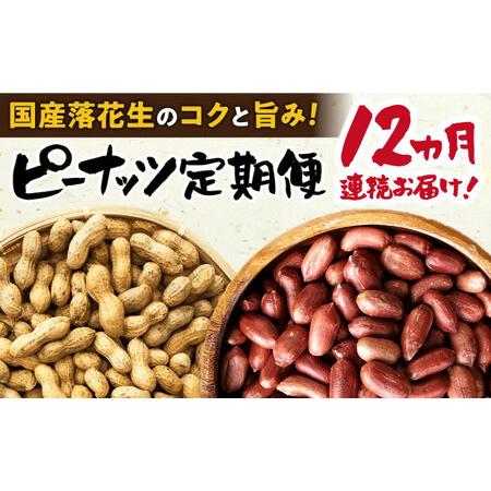 ふるさと納税  ピーナツ 定期便 大村市 浦川豆店[ACAB113] 長崎県大村市