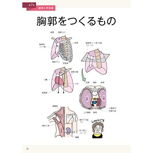 イラストでまなぶ解剖学 第3版