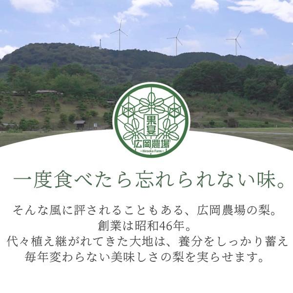 広岡農場の王秋梨（おうしゅうなし）3.5kg詰（4〜6玉入） 鳥取県産 なし 赤秀（ご贈答用） お歳暮 ギフト 送料無料（北海道・沖縄を除く）