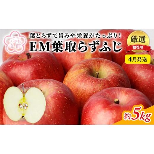 ふるさと納税 青森県 弘前市 4月発送 贈答用 EM葉取らずふじ 約5kg（有袋栽培・CA貯蔵）