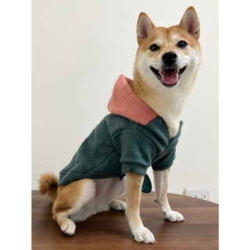 免睏【現貨 M&A寵物衣服 冬季保暖帽T 毛尼】商品實照 中型小型犬 狗衣服 貓衣服 寵物冬天衣服