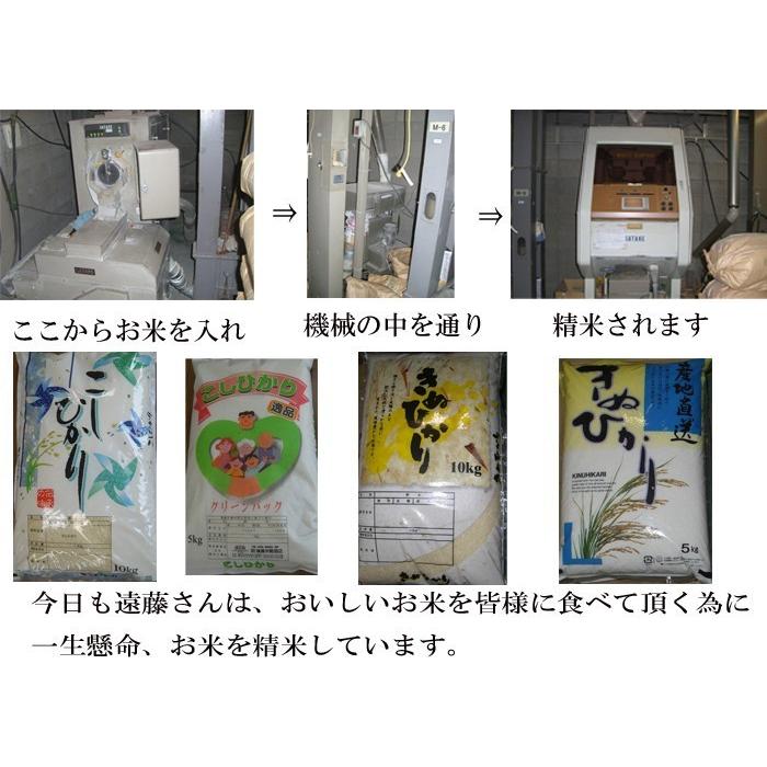 令和4年度産 新米 香川県産 こしひかり 玄米 10kg お歳暮 ギフト 食品 プレゼント 女性 男性 お祝い 新生活