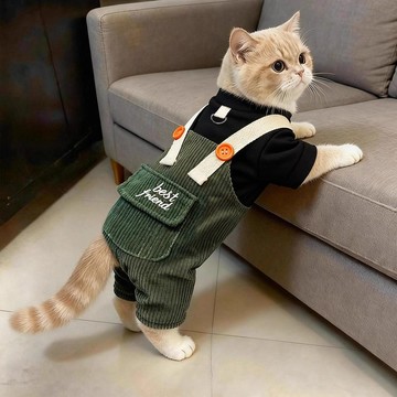 貓咪 衣服  四腳衣秋冬保暖 小貓 英短 金漸層 布偶 幼貓 寵物 服裝