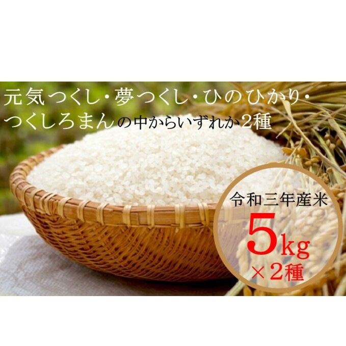 米 令和5年度 朝倉のお米 5kg×2種