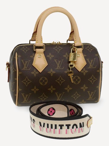 Louis Vuitton Handbag