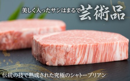 飛騨牛　シャトーブリアンステーキ　最高ランク5等級　2回お届け　飛騨市推奨特産品　古里精肉店謹製[Q1121n]