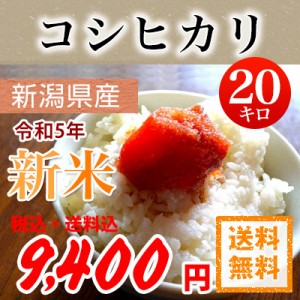 令和5年産 新潟県産 コシヒカリ こしひかり 白米20kg  