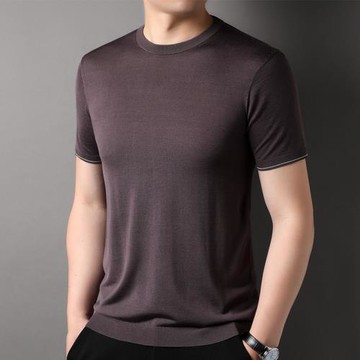 夏季高端100%桑蠶絲短袖t恤男圓領純色真絲潮流簡約男裝半袖體恤