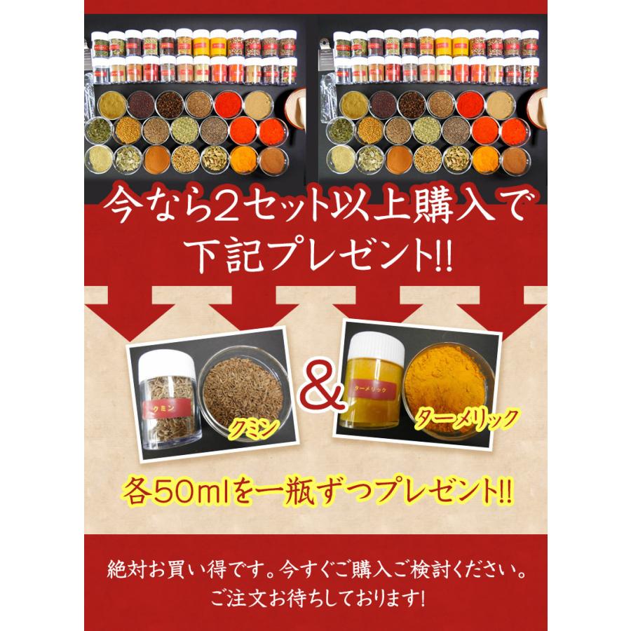 カレー　スパイス　お得　セット　20種　詰合せ（60皿分）　俺のカレー