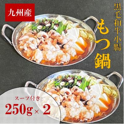 ふるさと納税 田川市 九州産ぷりぷりの小腸「割烹　もつ鍋セット」500g(250g×2セット)