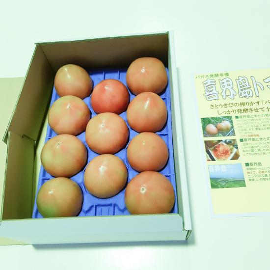 送料無料 喜界島 トマト2kg ギフト 特産品 産地直送 鹿児島県産