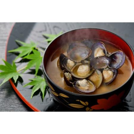 ふるさと納税 しじみ　津軽十三湖産大粒しじみ800g（冷凍・砂抜き済） 青森県五所川原市