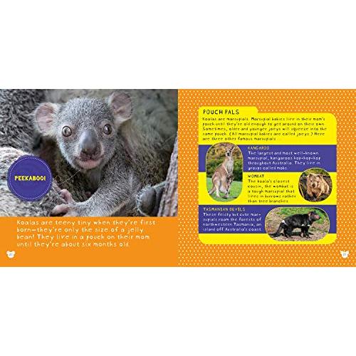 So Cute! Koalas (So Cool So Cute)