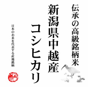 新米 越後の米 令和5年産 新潟県中越産 コシヒカリ 10kg 白米 (玄米 無洗米 選べます。）新米 コシヒカリ 新米 10kg