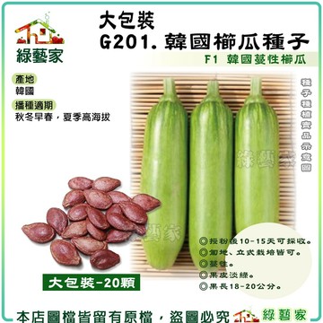 【綠藝家】大包裝G201.韓國櫛瓜種子20顆(有藥劑處理) F1 韓國蔓性櫛瓜 韓國夏南瓜 匍地、立式栽培 果皮淡綠