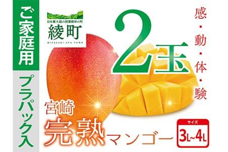 完熟 マンゴー 3L～4L 2玉 濃厚 宮崎 高級 果物 フルーツ 贈答 ギフト 甘い 先行受付 送料無料（04-77）