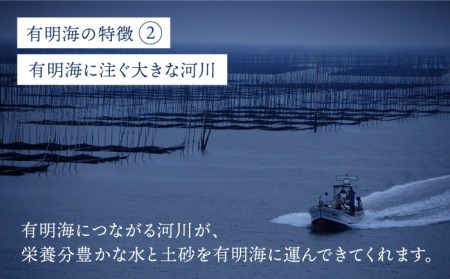 プレミアム佐賀海苔 味付け海苔 5袋詰(10切60枚×5) 株式会社サン海苔 吉野ヶ里町[FBC021]