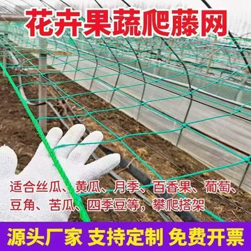 ⭐臺灣熱賣好物⭐植物爬藤網新型百香果豆角黃瓜月季絲瓜葡萄田園種植網庭院戶外網