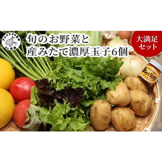 ふるさと納税 長崎県 松浦市 道の駅松浦海のふるさと館『旬のお野菜＋産みたて濃厚玉子6個』の大満足セット！ 野菜 詰め合わせ 旬 卵 新鮮