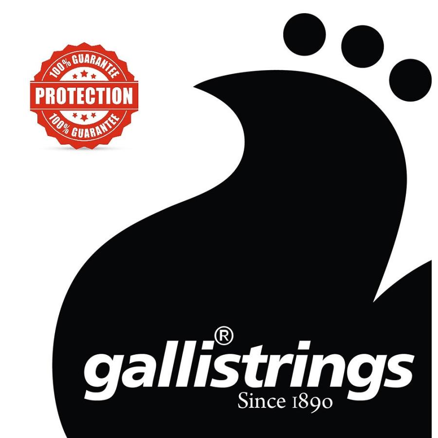 Gallistrings 4弦 Regular Custom Nickel Round Wound エレキベース弦 .040-.105 RSB40105