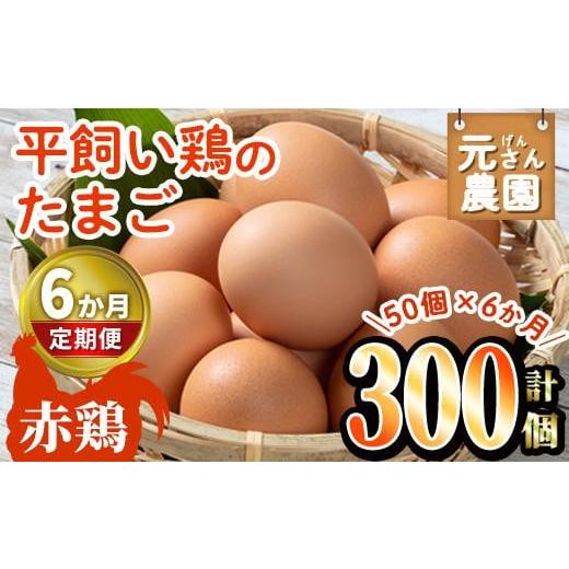 ふるさと納税 大分県 佐伯市 ＜定期便・全6回 (連続)＞平飼い赤鶏のたまご (総量300個・S-Mサイズ50個×6回) 元さん農園