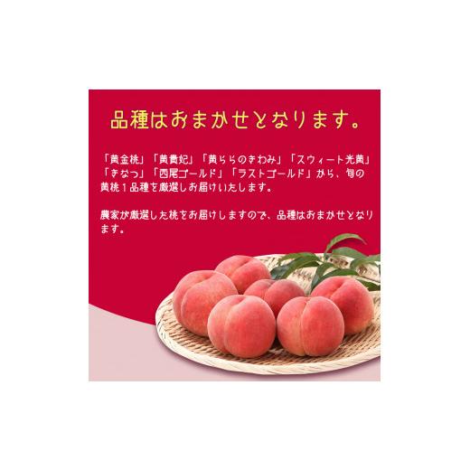 ふるさと納税 山形県 寒河江市 山形の黄桃 5kg 品種おまかせ (13〜20玉) 秀品 山形県産 2024年産 　022-B-MM019