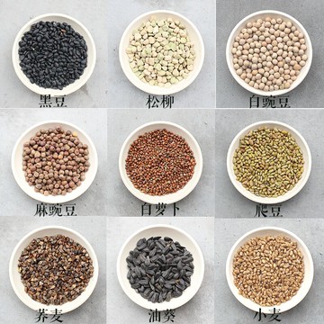 黑豆 松柳 白豌豆 麻豌豆 白蘿卜 爬豆 蕎麥油葵 小麥 芽菜