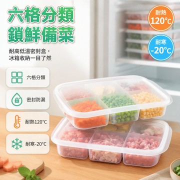 冰箱冷藏保鮮盒 5分格備菜盒 6分格食材收納盒 冷凍肉類分裝盒 姜蔥蒜儲存盒 廚房冰箱整理盒 透明分隔儲物盒