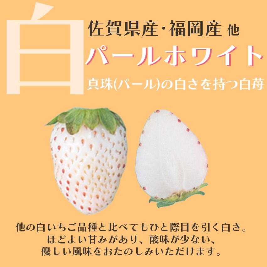 福岡・佐賀産 紅白いちご （あまおう＆白いちご）4パック（ギフト いちご イチゴ 苺 御歳暮 御祝）