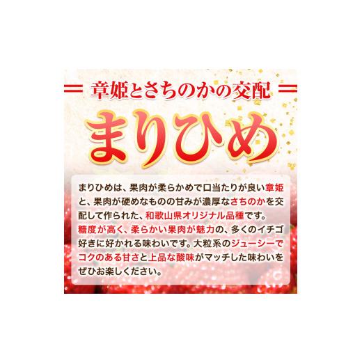 ふるさと納税 和歌山県 岩出市 完熟いちご大粒まりひめ 700g(350g×２パック) よしむら苺ファーム 《12月上旬-4月中旬頃より順次出荷》 和歌山県 岩出市 いち…