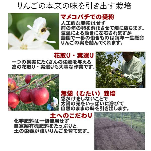 特選 無袋栽培葉とらずふじ 青森産りんご（約5kg）無化学肥料 桜庭りんご農園 直送につき代引・同梱不可 12月新商品