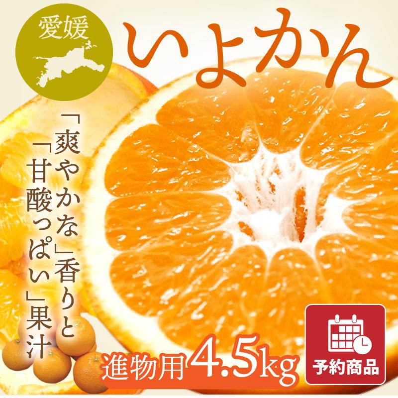 いよかん 伊予柑 進物用 4.5kg 愛媛県産みかん みかん 柑橘類 予約商品