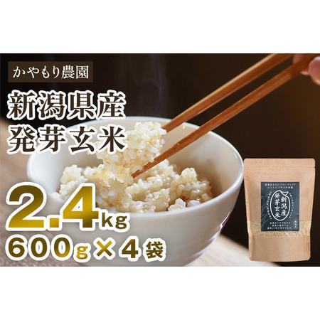 ふるさと納税 [発芽玄米] 新潟産 発芽玄米2.4kg（600g×4個）新潟米 新潟県産 かやもり農園 新潟県加茂市