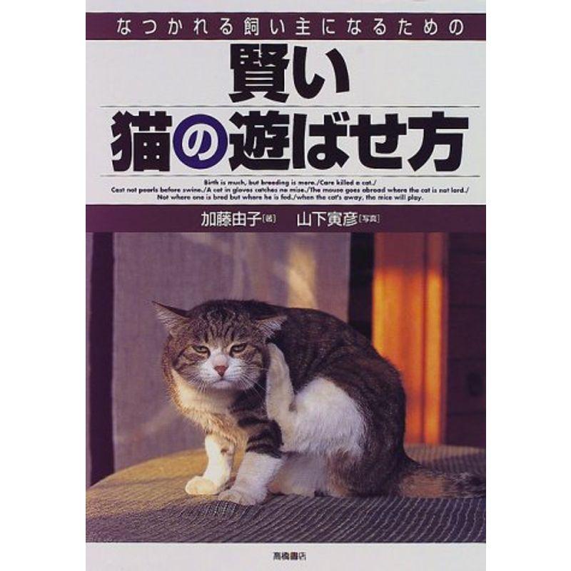 賢い猫の遊ばせ方 なつかれる飼い主になるための