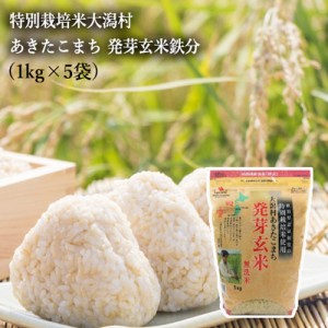 特別栽培米大潟村あきたこまち 発芽玄米鉄分 １kg（５袋セット） 大潟村 あきたこまち 玄米 無洗米 鉄分強化 消化 秋田県産 大潟村あき