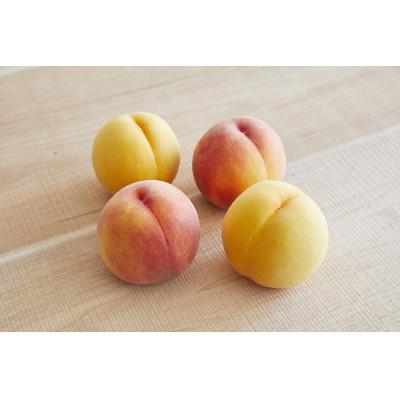 ふるさと納税 山形県 山形の黄色い桃(有袋・無袋)　秀品　約2kg