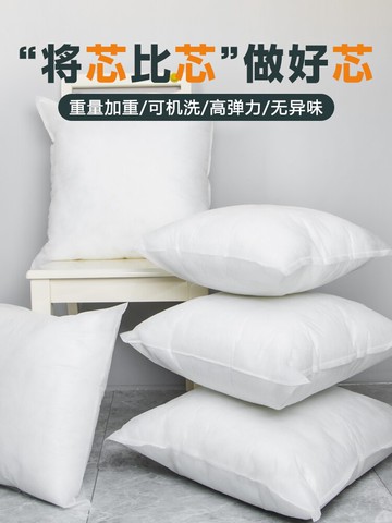 靠背芯正方形抱枕芯內膽飽滿填充不塌陷不變形40 45 50沙發枕芯子