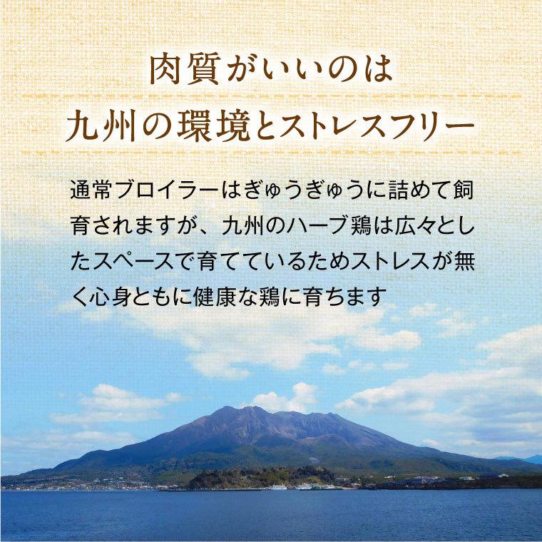 馬刺し ギフト 鶏肉 国産 手羽先 唐揚げ 鶏 8本 鶏肉料理 ギフト お土産 食べ物 惣菜 おつまみ 熊本馬刺し専門店 あか牛鶏フェア