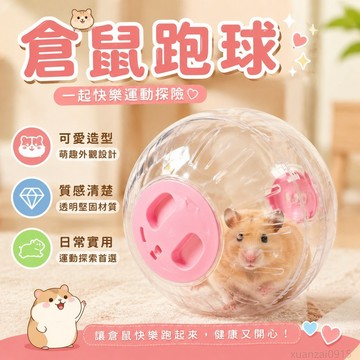 寵物省錢鋪】 倉鼠跑球透明滾球運動球金絲熊水晶玩具小用品跑步球跑輪 可愛 出貨 倉鼠玩具 倉鼠用品 倉鼠跑輪 toy