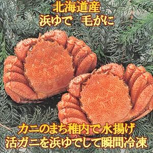 毛がに 北海道産　浜ゆで（冷凍）650g×２尾