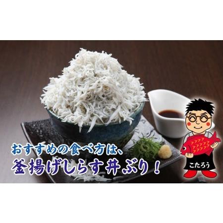 ふるさと納税 釜揚げしらす 合計 2kg（500g×4）  大阪府泉佐野市