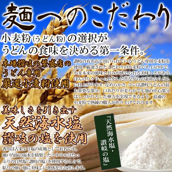 鎌田醤油特製ダシ醤油6袋付き!!讃岐うどん6食分600g（300g×2袋）-ゆうパケット出荷