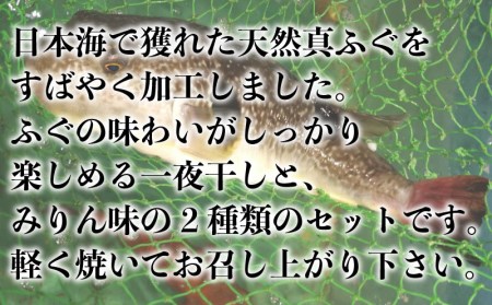 真ふぐ 一夜干し みりん干し セット 500g×2 1kg 冷凍 ふぐ マフグ おかず おつまみ 下関 ギフト 贈答 CF107