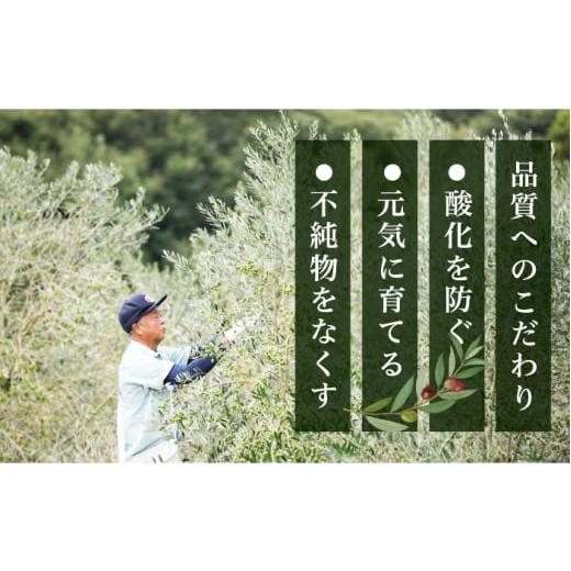 ふるさと納税 広島県 江田島市 一度食べるとクセになる！牡蠣のオリーブオイル漬け 80g×1個 オリーブオイル かき カキ 油 オイル漬け 広島 サラ…