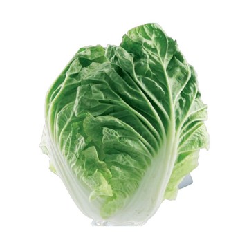 台灣大白菜(每粒約600克)